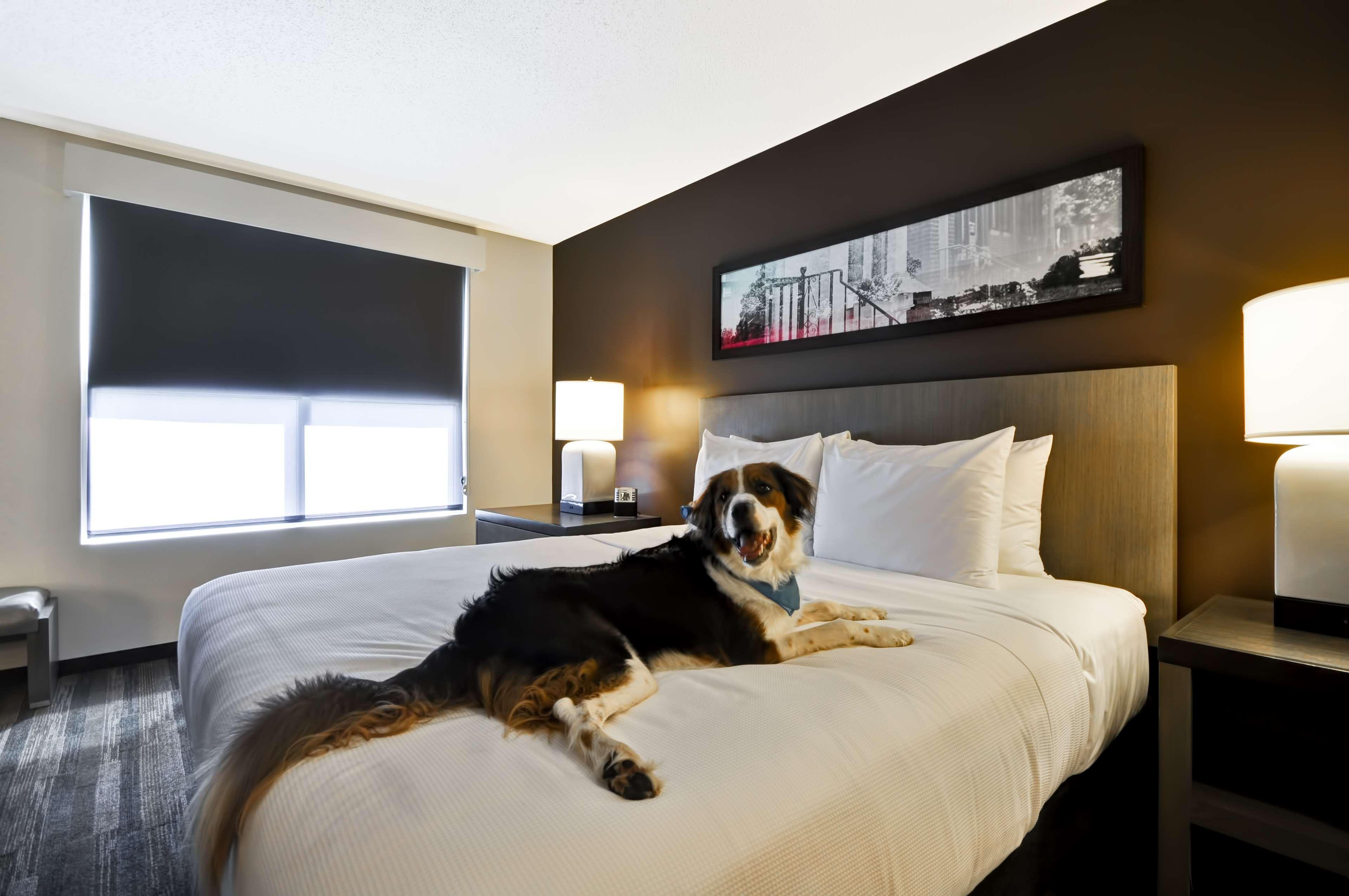 Hyatt House Atlanta Cobb Galleria Smyrna Εξωτερικό φωτογραφία